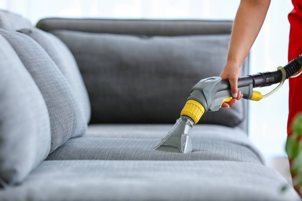 A Deep Dive into the Aesthetic Principles of 5Seater Sofas